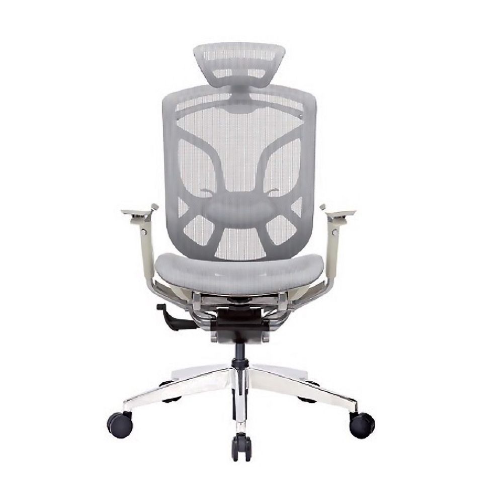 Ghế Công Thái Học GT Chair Dvary Butterfly Pro (Pro - Gray - Mới, Full box, Chính hãng)