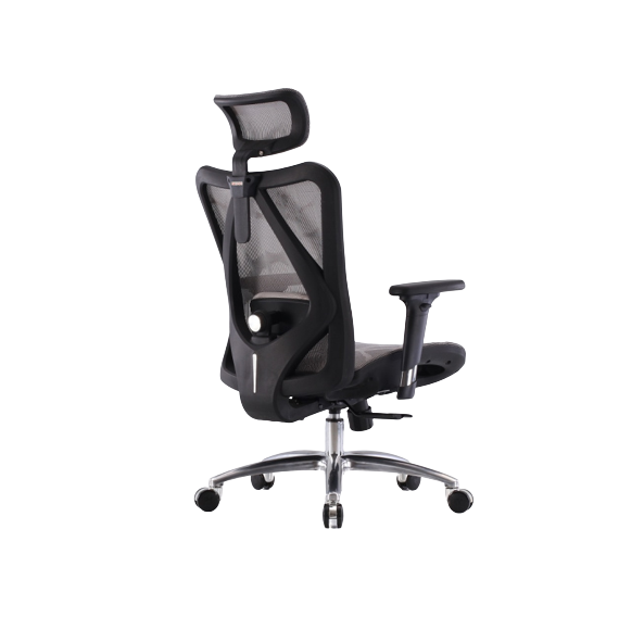 Ghế Công Thái Học Sihoo M57 (Không Có Kê Chân - Grey carbon - Mới, Full box, Nhập khẩu)