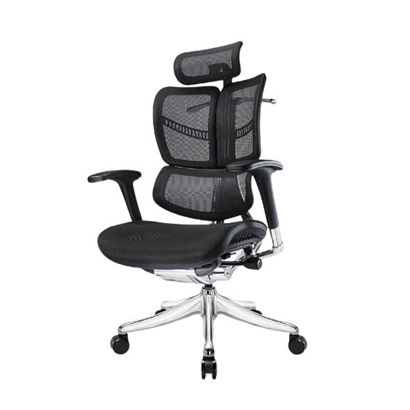 Ghế công thái học Vchair Evolution (Black - Mới, Full box, Chính hãng)