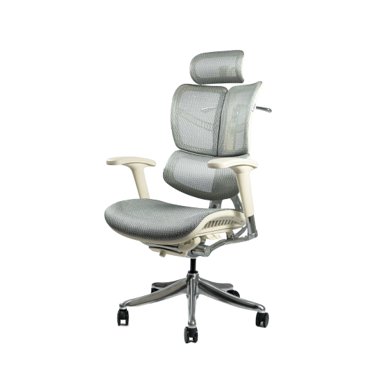 Ghế công thái học Vchair Evolution (Mineral Gray - Mới, Full box, Chính hãng)