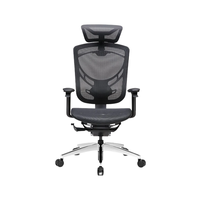 Ghế Công Thái Học GT Chair Dvary Ivino Gen II (Graphite Black - Mới, Full box, Chính hãng)