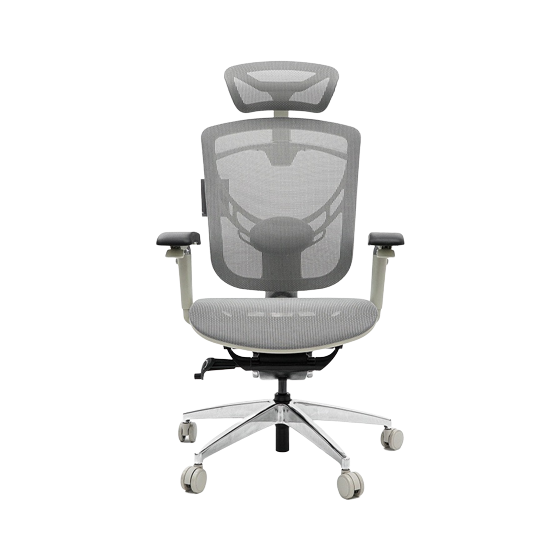 Ghế Công Thái Học GT Chair Dvary Ivino Gen II (Steam Engine - Mới, Full box, Chính hãng)