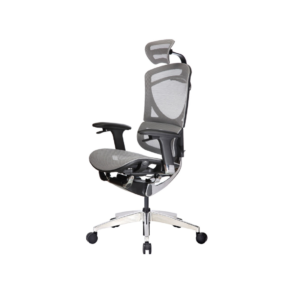 Ghế Công Thái Học GT Chair Dvary I-see X (Gray - Mới, Full box, Chính hãng)