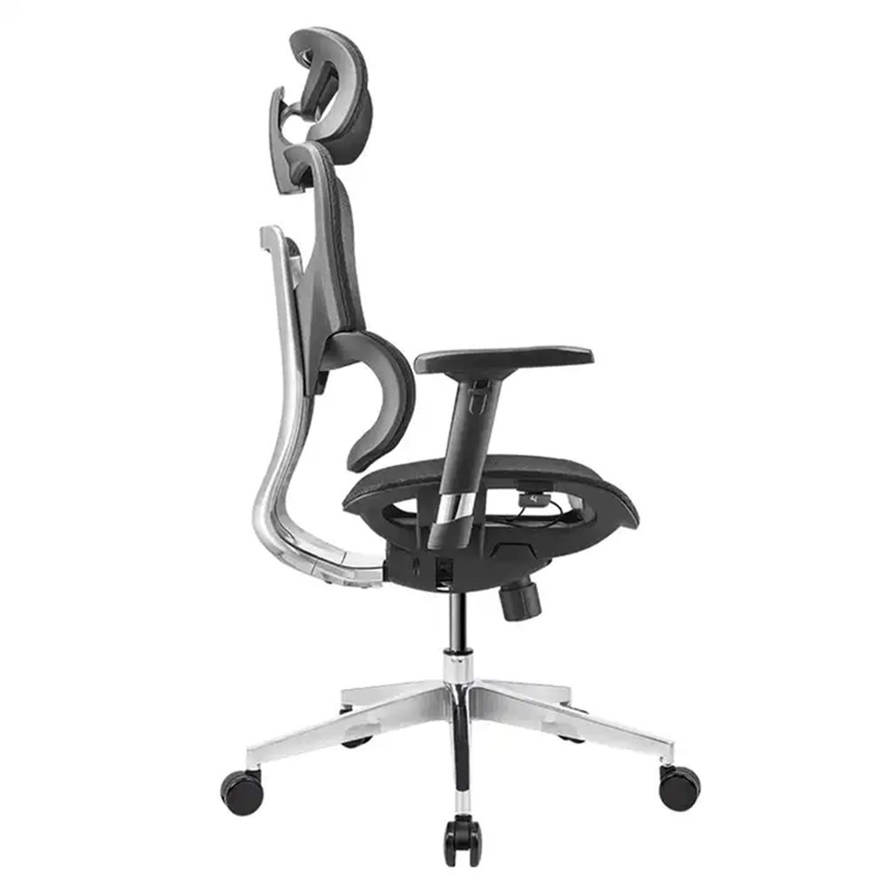 Ghế Công Thái Học Ergonomic Fly (Lite - Black - Mới, Full box, Chính hãng)