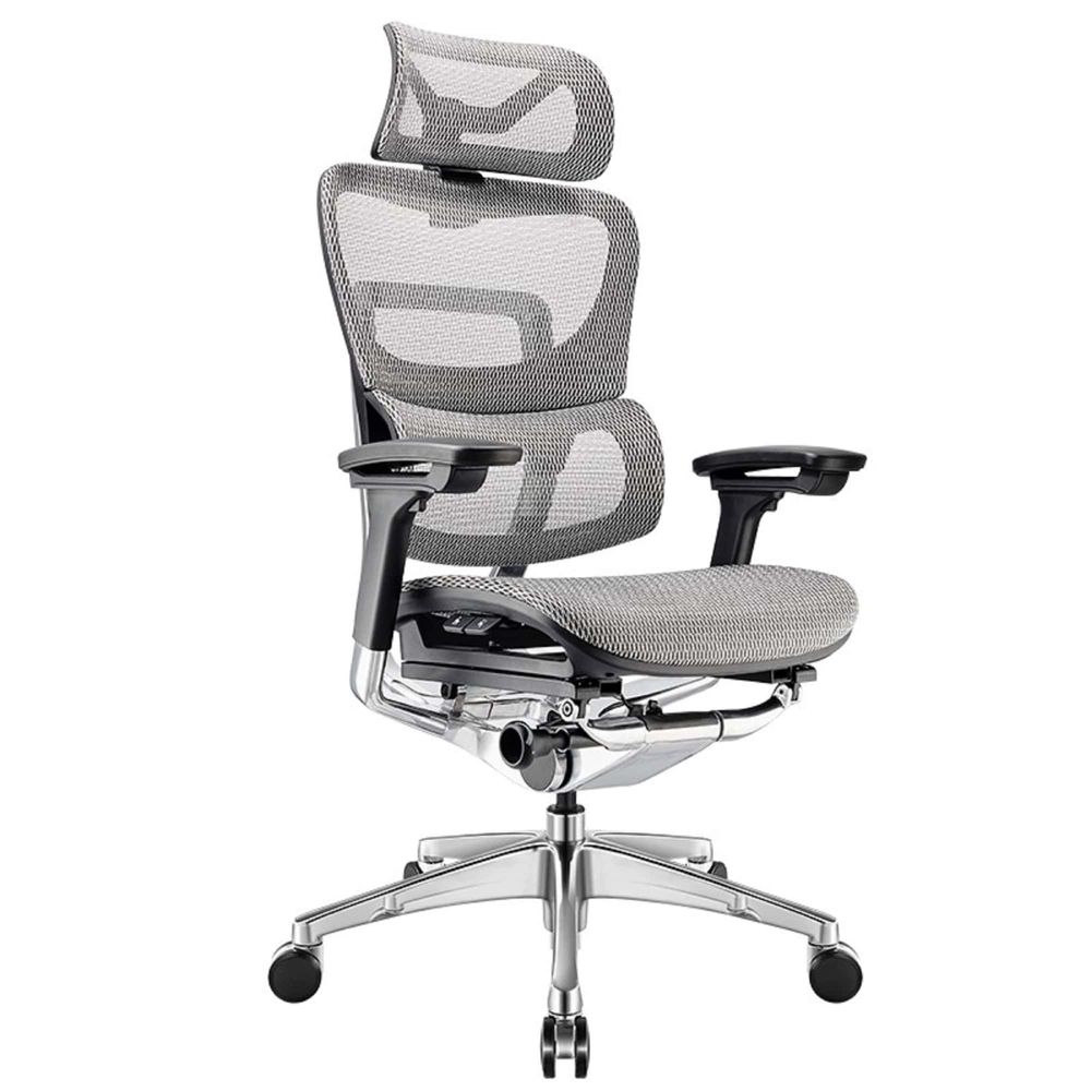 Ghế Công Thái Học Ergonomic Fly (Pro - Gray - Mới, Full box, Chính hãng)