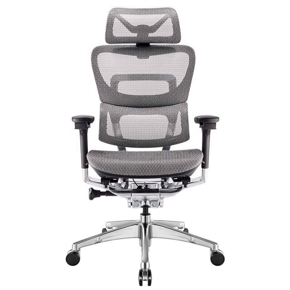 Ghế Công Thái Học Ergonomic Fly (Pro - Gray - Mới, Full box, Chính hãng)