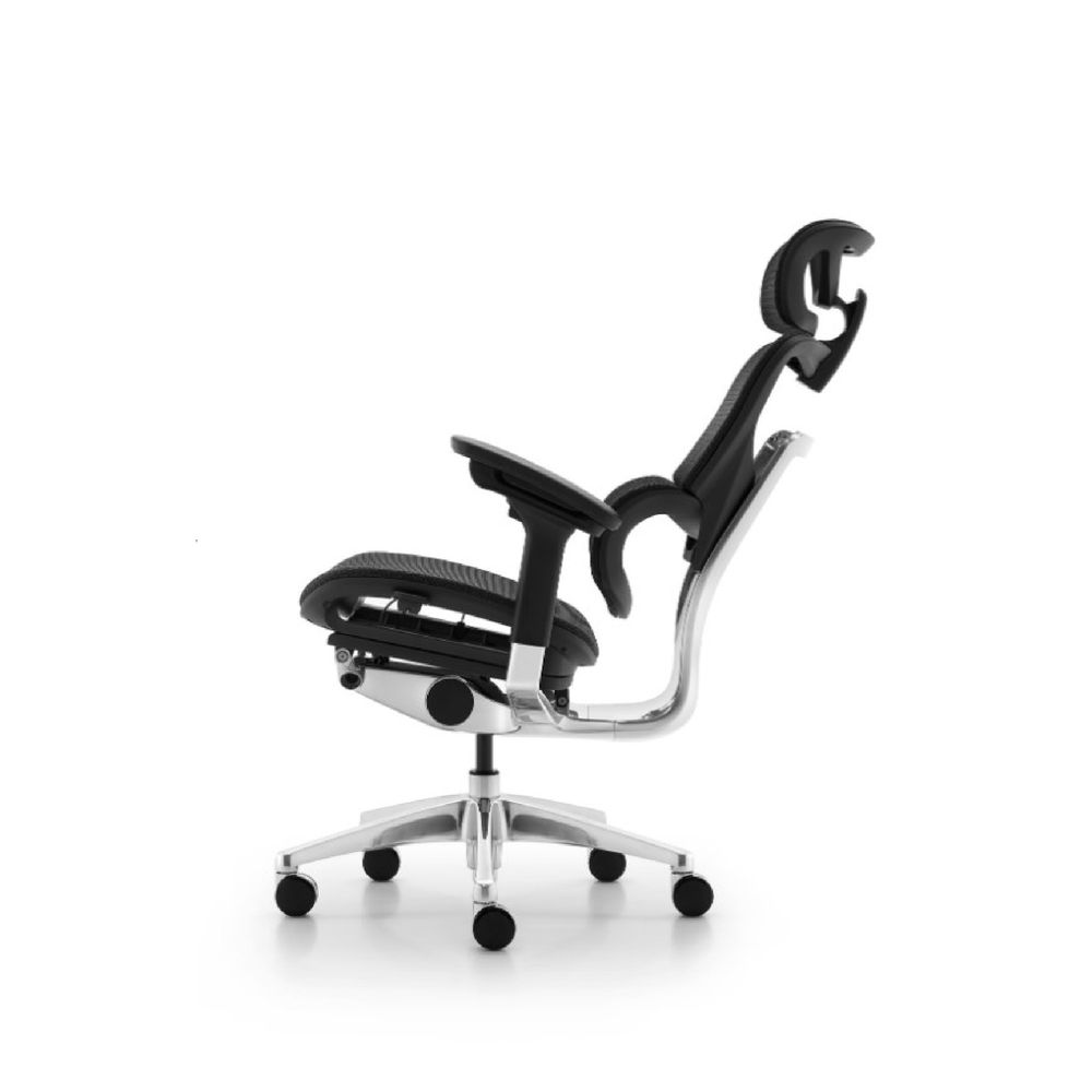 Ghế Công Thái Học Ergonomic Fly (Pro - Black - Mới, Full box, Chính hãng)