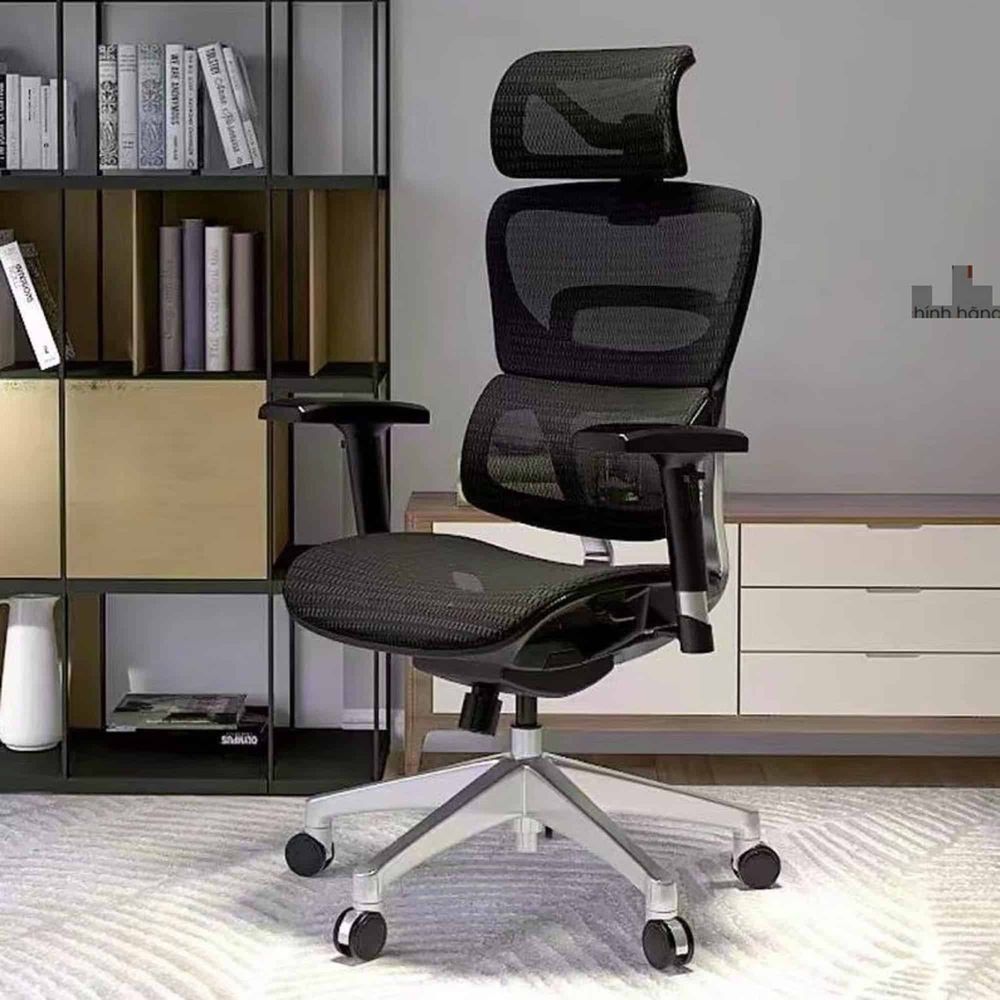Ghế Công Thái Học Ergonomic Fly (Lite - Black - Mới, Full box, Chính hãng)