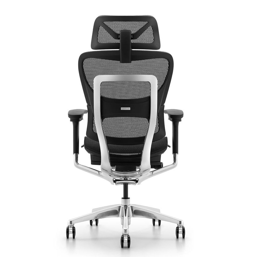 Ghế Công Thái Học Ergonomic Fly (Pro - Black - Mới, Full box, Chính hãng)