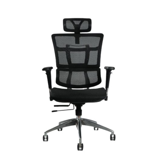 Ghế Công thái học Ergo Nova (Black - Mới, Full box, Chính hãng)