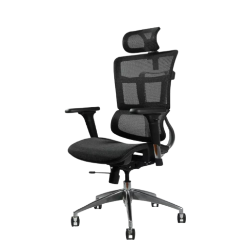 Ghế Công thái học Ergo Nova (Black - Mới, Full box, Chính hãng)