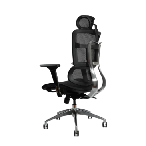 Ghế Công thái học Ergo Nova (Black - Mới, Full box, Chính hãng)