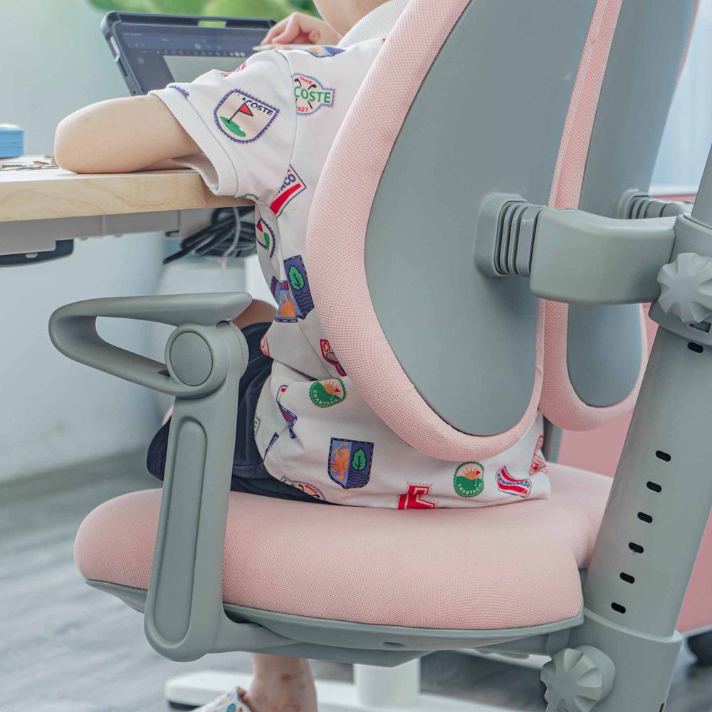 Ghế Công Thái Học Chống Gù Trẻ Em BioKids (BK-01 - Pink - Mới, Full box, Chính hãng)