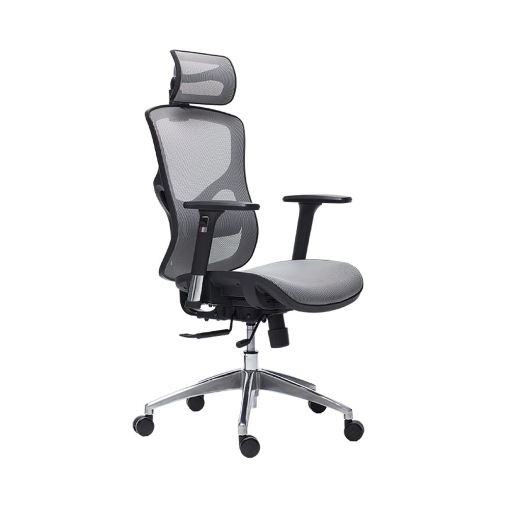 Ghế Công Thái Học Manson Vera (Lưới Wintex - Grey - Mới, Full box, Chính hãng)
