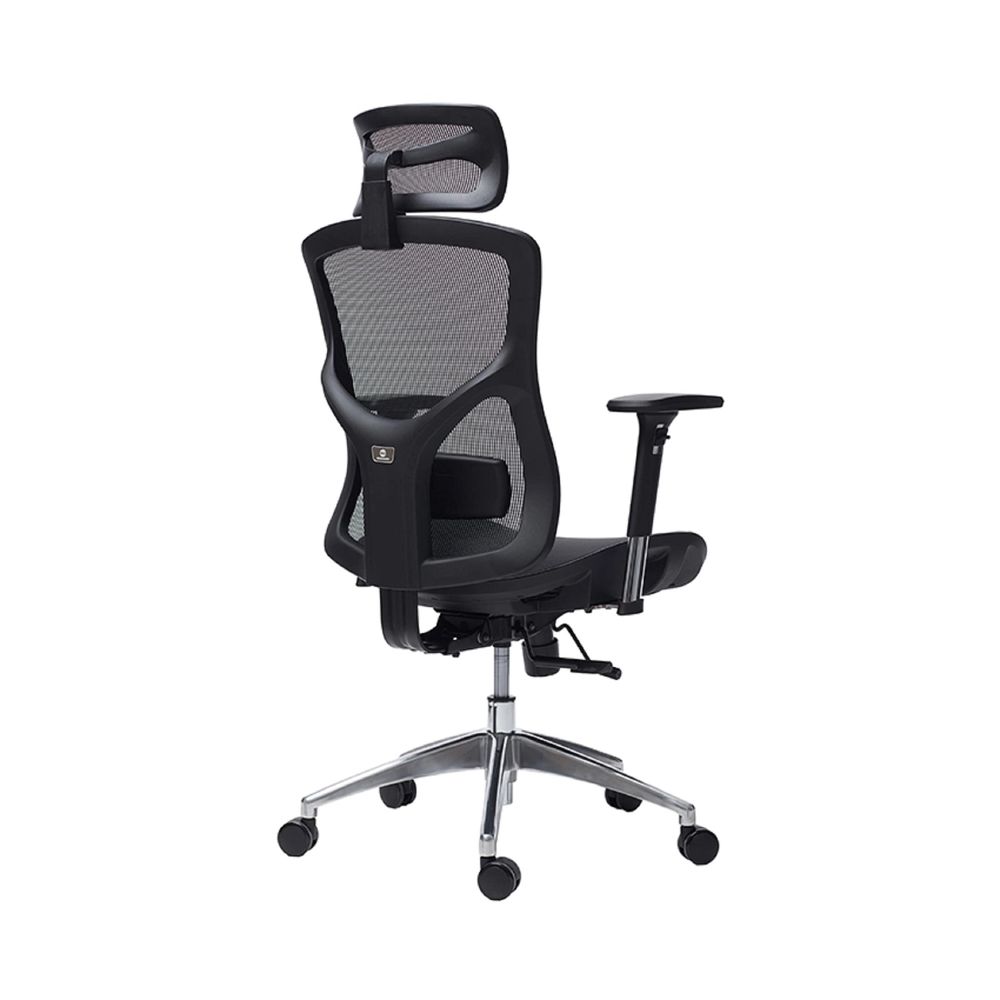 Ghế Công Thái Học Manson Vera (Lưới Wintex - Black - Mới, Full box, Chính hãng)