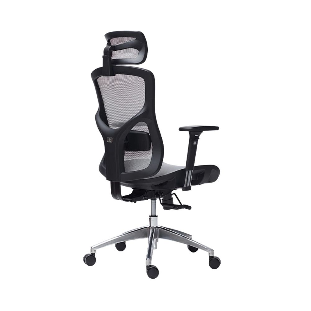 Ghế Công Thái Học Manson Vera (Lưới Wintex - Grey - Mới, Full box, Chính hãng)