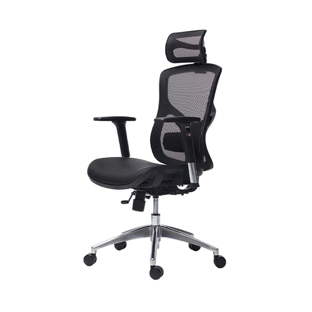 Ghế Công Thái Học Manson Vera (Lưới Wintex - Black - Mới, Full box, Chính hãng)