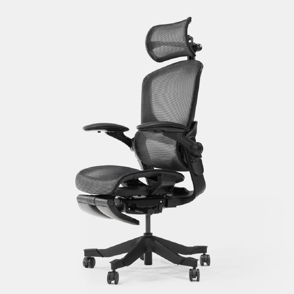 Ghế Công Thái Học Epione Easy Chair 2.0 (Black - Mới, Full box, Chính hãng)