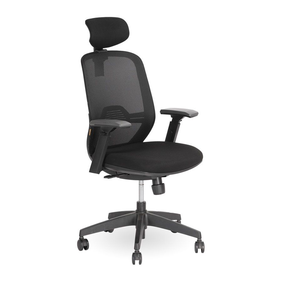 Ghế văn phòng CTH Ergo T21 Pro (Khung Đen - Lưới Đen - Black - Mới, Full box, Chính hãng)