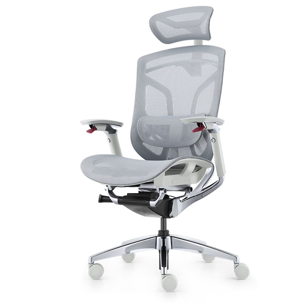 Ghế Công Thái Học GT Chair Dvary Butterfly Pro (Pro - Gray - Mới, Full box, Nhập khẩu)