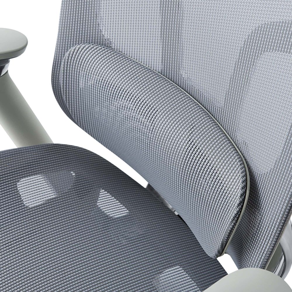 Ghế Công Thái Học GT Chair Dvary Butterfly Pro (Pro - Gray - Mới, Full box, Nhập khẩu)