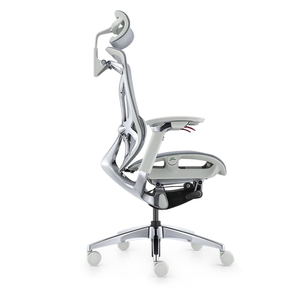 Ghế Công Thái Học GT Chair Dvary Butterfly Pro (Pro - Gray - Mới, Full box, Nhập khẩu)