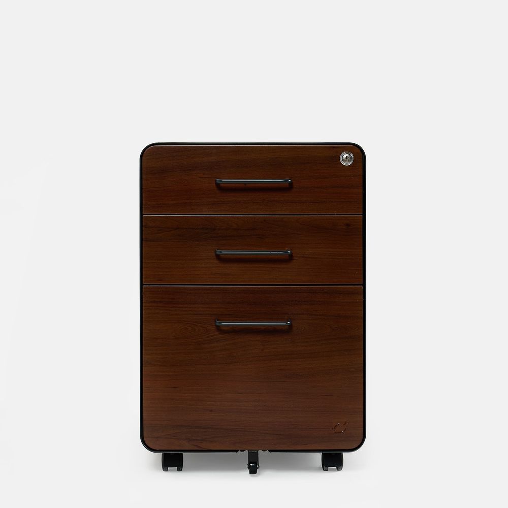 Hộc tủ tài liệu 3 ngăn The Leaf Plus (3 Ngăn - Walnut - Black - Mới, Full box, Chính hãng) (NDFC24LEAP01)