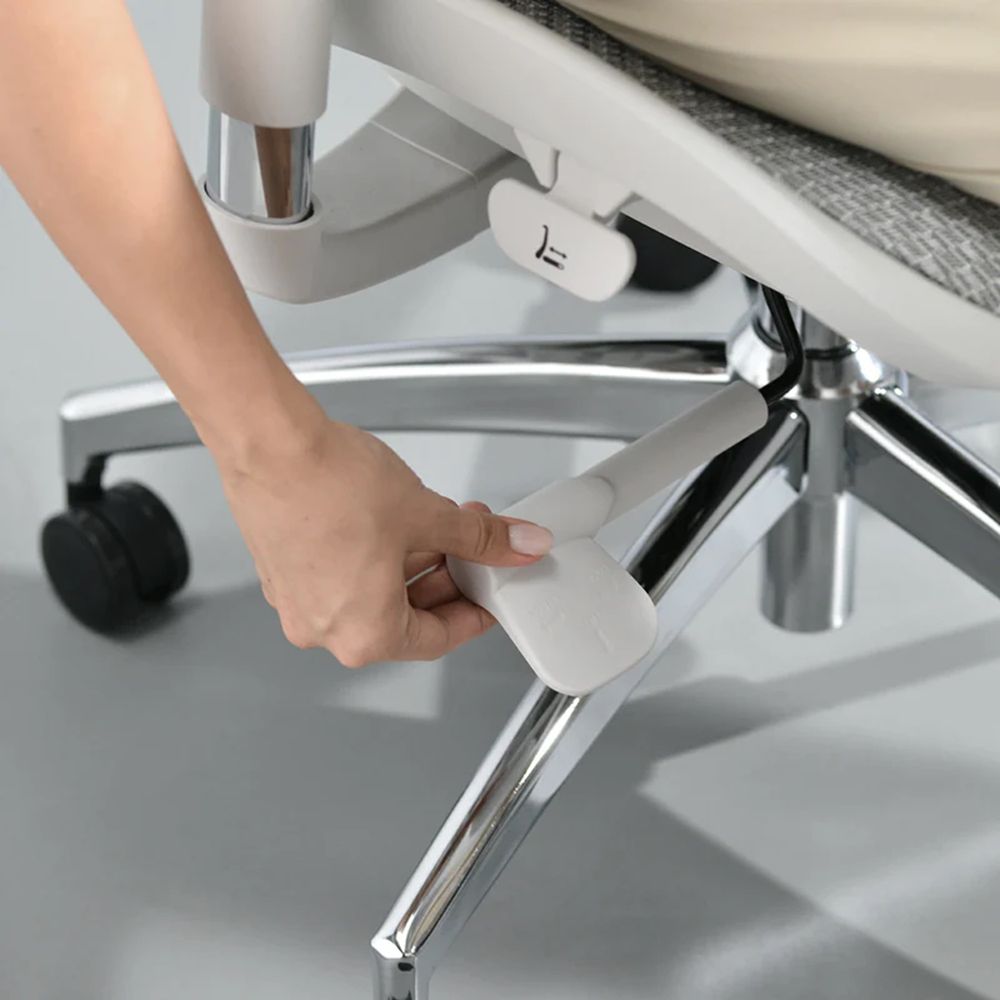 Ghế Công Thái Học Sihoo Doro S100 (Không kê chân - White - Grey - Mới, Full box, Chính hãng)