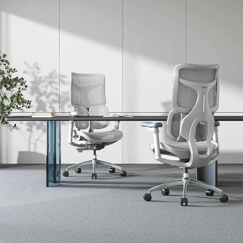 Ghế Công Thái Học Sihoo Doro S100 (Không kê chân - White - Grey - Mới, Full box, Chính hãng)
