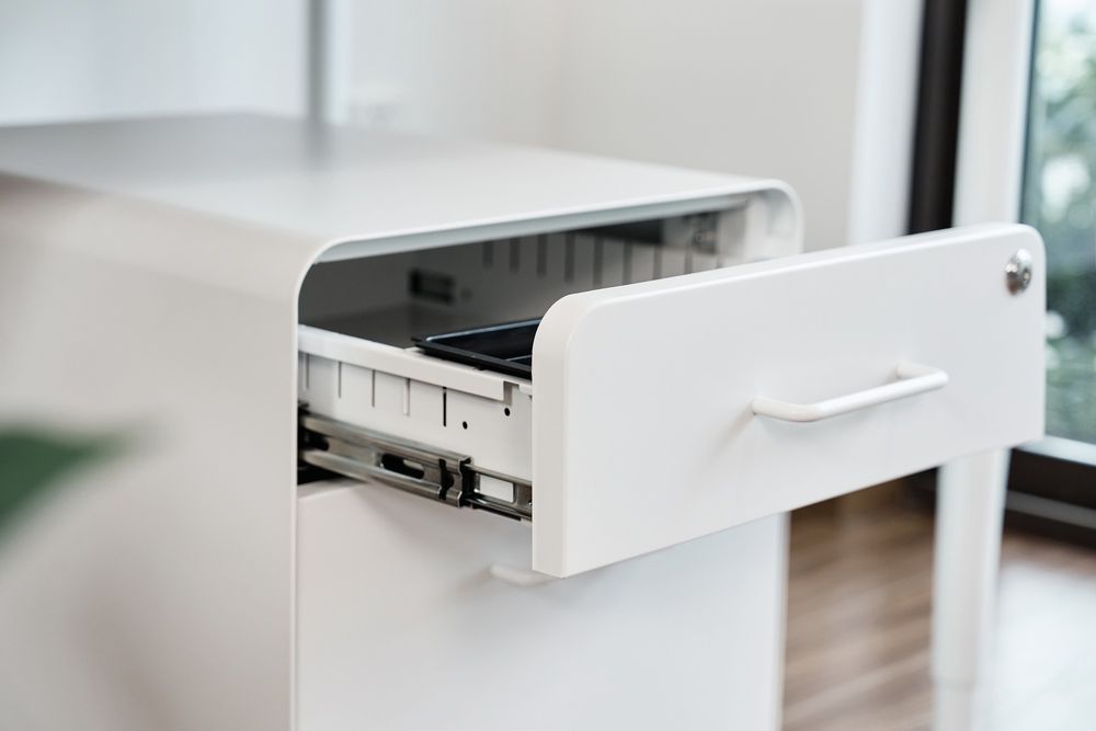 Hộc tủ tài liệu 2 ngăn The Leaf Plus (2 ngăn - White - Mới, Full box, Chính hãng) (NDFC24LEAP12)