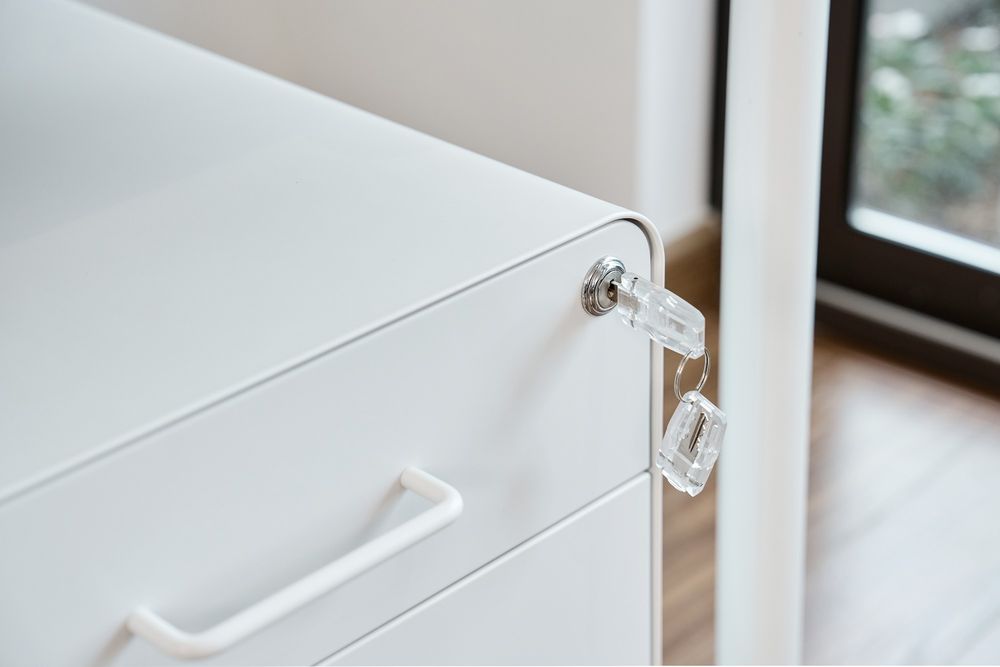 Hộc tủ tài liệu 2 ngăn The Leaf Plus (2 ngăn - White - Mới, Full box, Chính hãng) (NDFC24LEAP12)