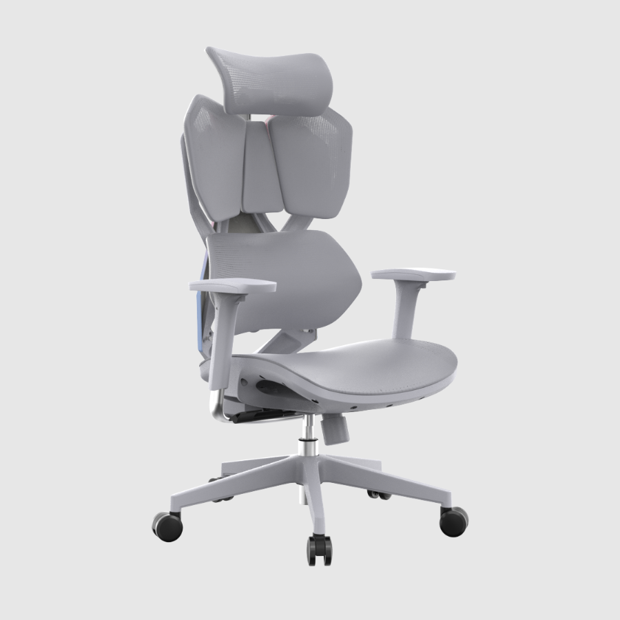 Ghế công thái học Gami X5 - Ergonomic Gaming (X5 - Grey - White - Mới, Full box, Chính hãng)