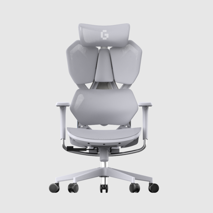 Ghế công thái học Gami X5 - Ergonomic Gaming (X5 - Grey - White - Mới, Full box, Chính hãng)