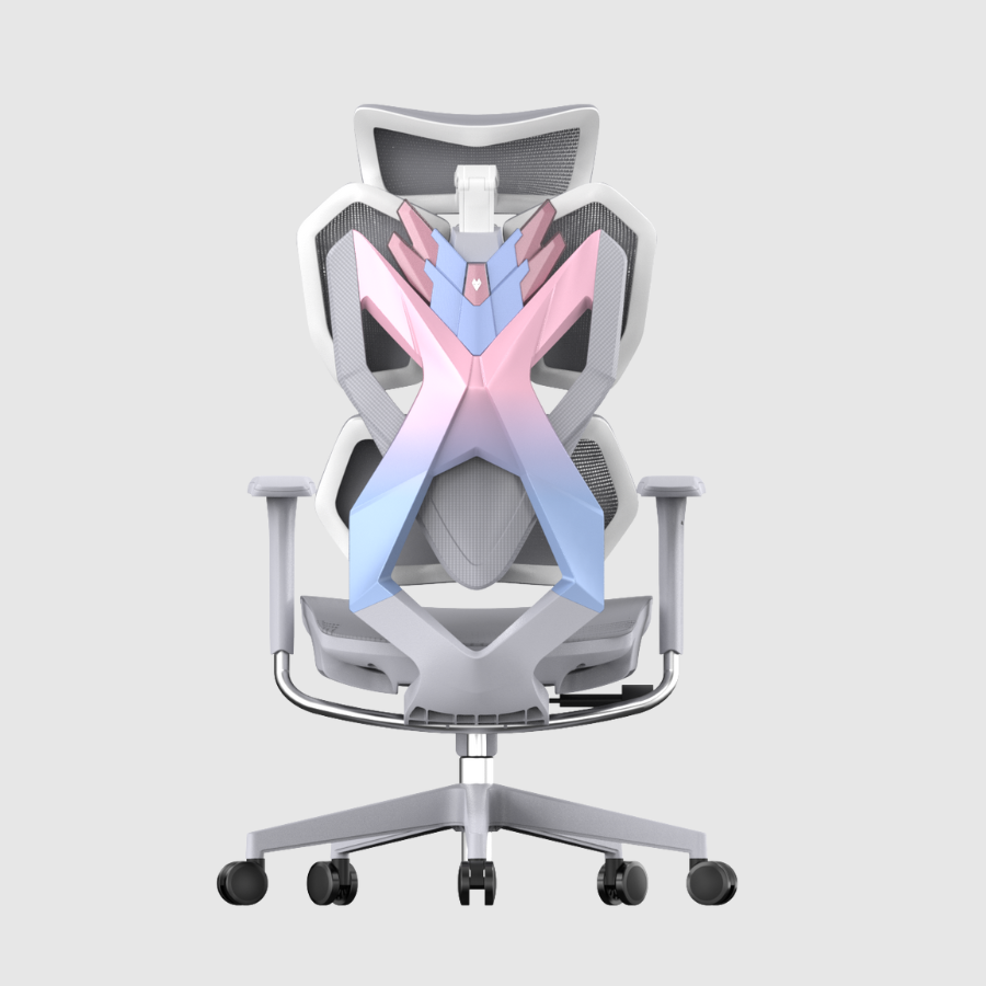 Ghế công thái học Gami X5 - Ergonomic Gaming (X5 - Grey - White - Mới, Full box, Chính hãng)