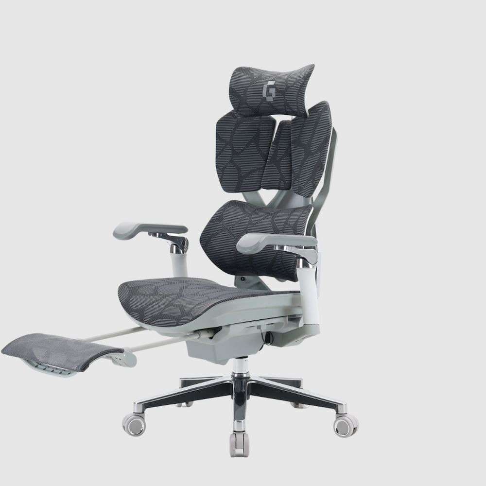Ghế Công thái học Gami X5 Pro - Ergonomic Gaming (X5P - Grey - White - Mới, Full box, Chính hãng)