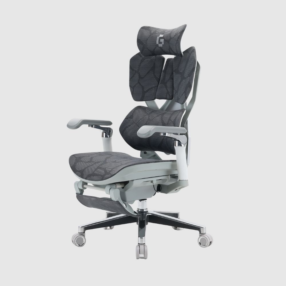 Ghế Công thái học Gami X5 Pro - Ergonomic Gaming (X5P - Grey - White - Mới, Full box, Chính hãng)