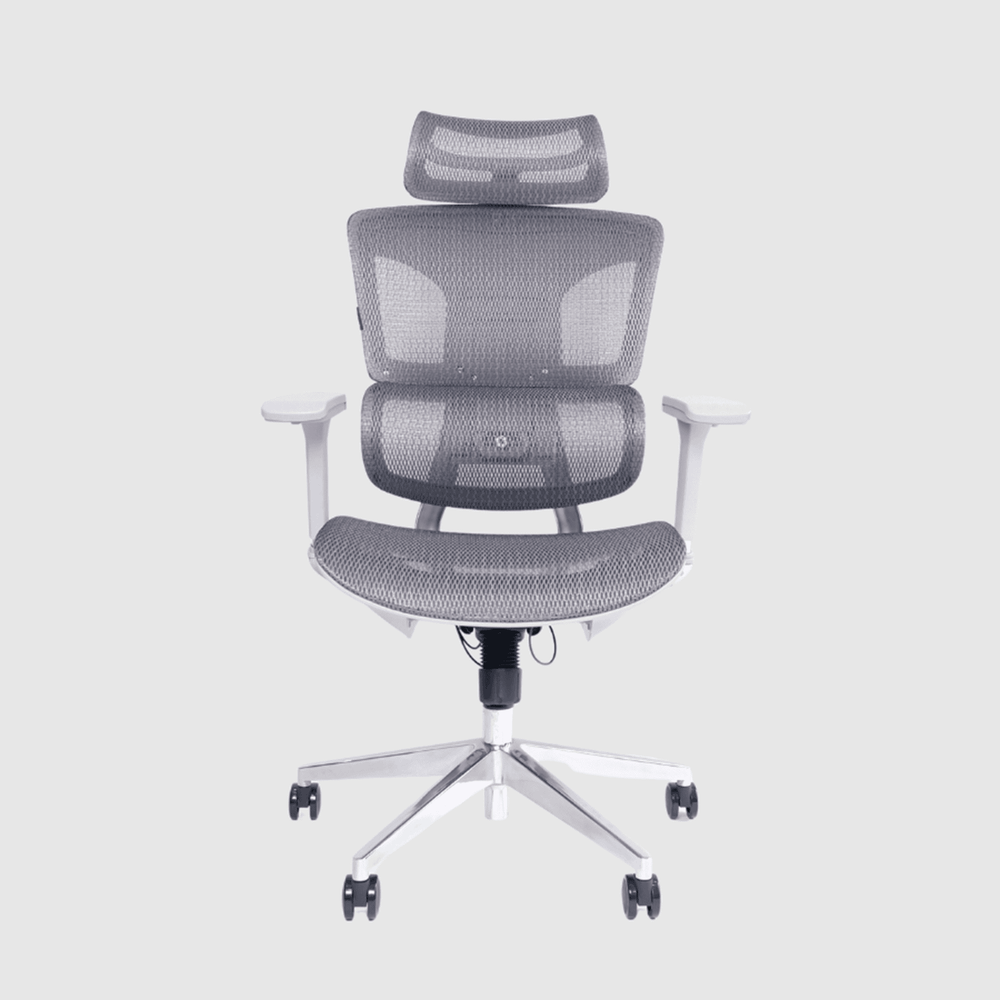 Ghế công thái học Gami Hexa (Gray - Mới, Full box, Chính hãng)