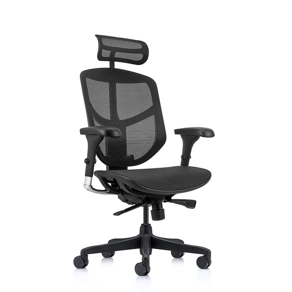Ghế công thái học Ergohuman Enjoy Basic 2 (Black - Mới, Full box, Nhập khẩu)
