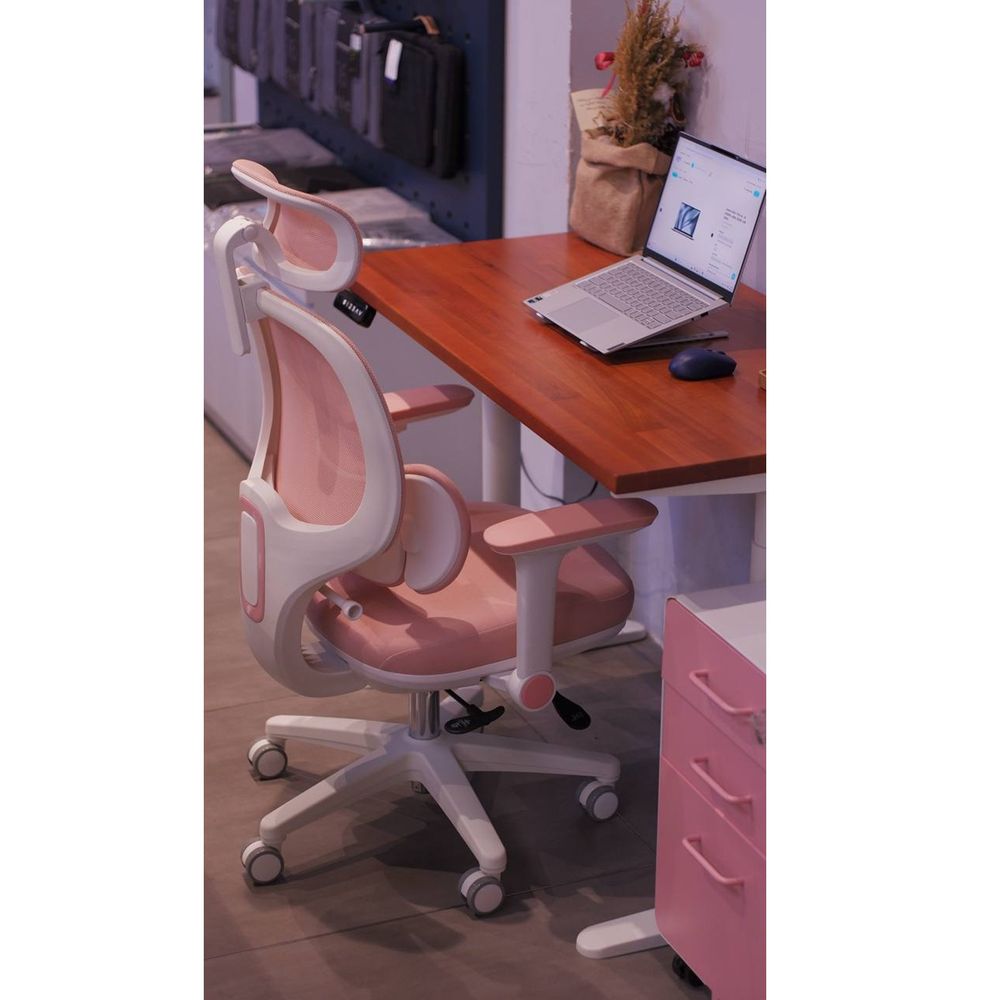 Ghế Công Thái Học Manson E3 Lite (Pink - Mới, Full box, Chính hãng)