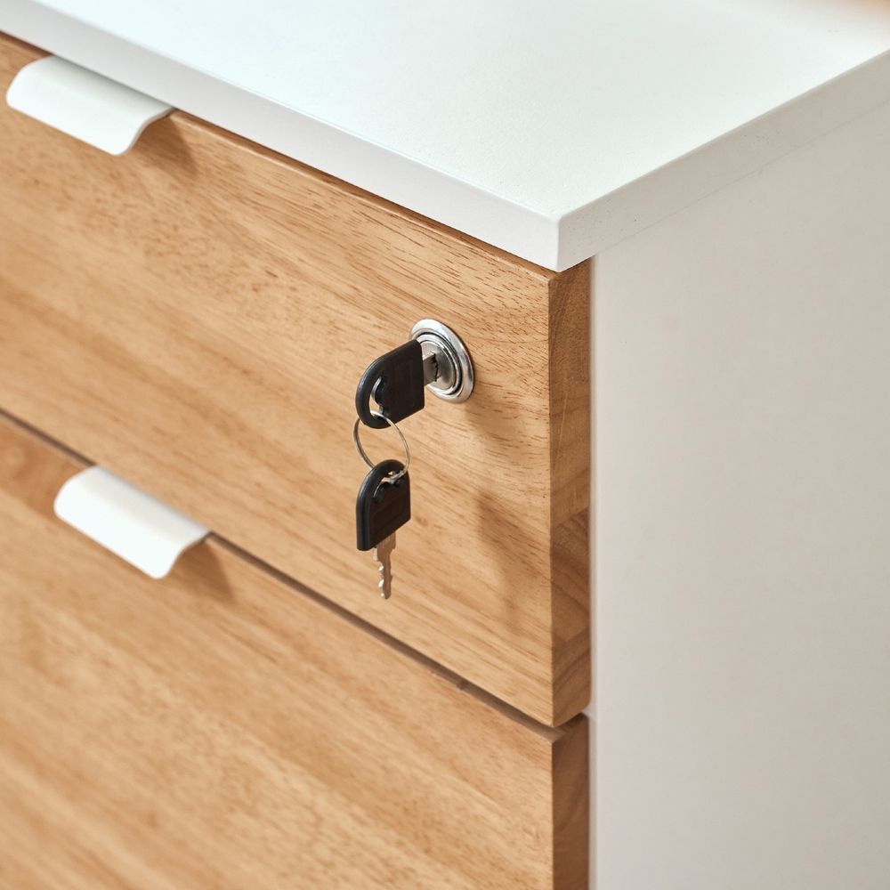 Hộc tủ tài liệu 2 ngăn Alexa - By NiceDesign (2 ngăn - White - Rubber - Mới, Sealed, Chính hãng) (NDFC25ALEX02)