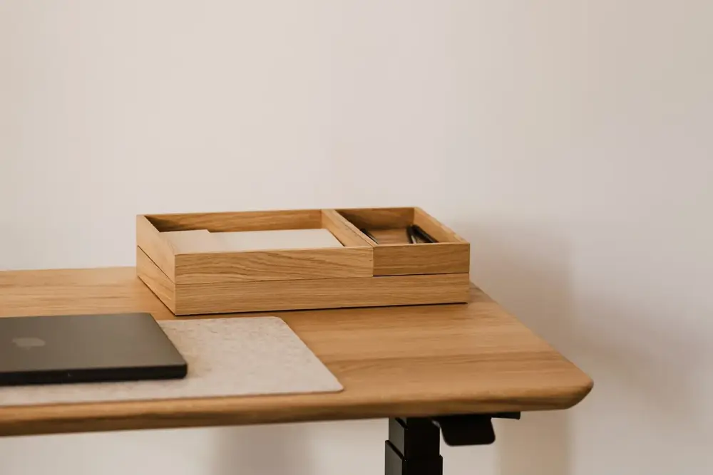 Valet Tray (36x20cm - Natural OAK - Mới, Full box, Chính hãng) (NDTR25VALE01NT)