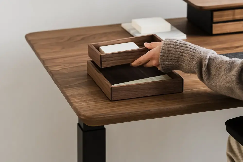 Valet Tray (36x20cm - Walnut - Mới, Full box, Chính hãng) (NDTR25VALE01WN)