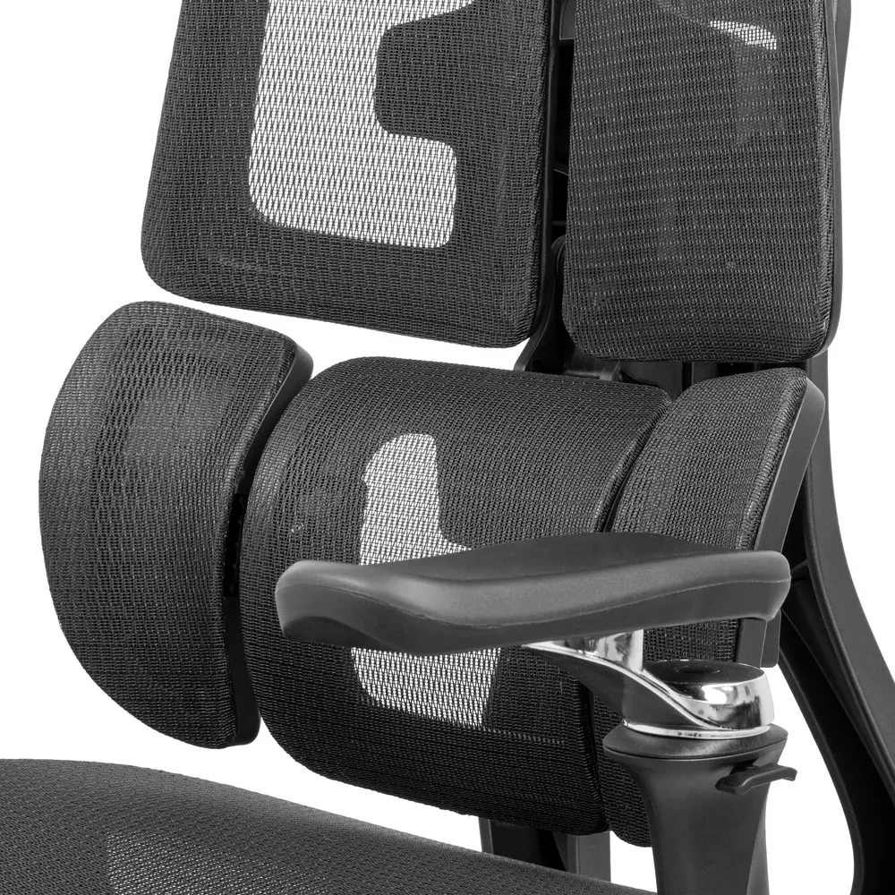 Ghế công thái học Leaf Flow Chair (Black - Mới, Full box, Chính hãng)