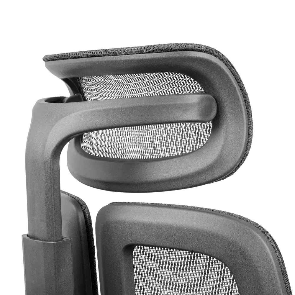 Ghế công thái học Leaf Flow Chair (Black - Mới, Full box, Chính hãng)