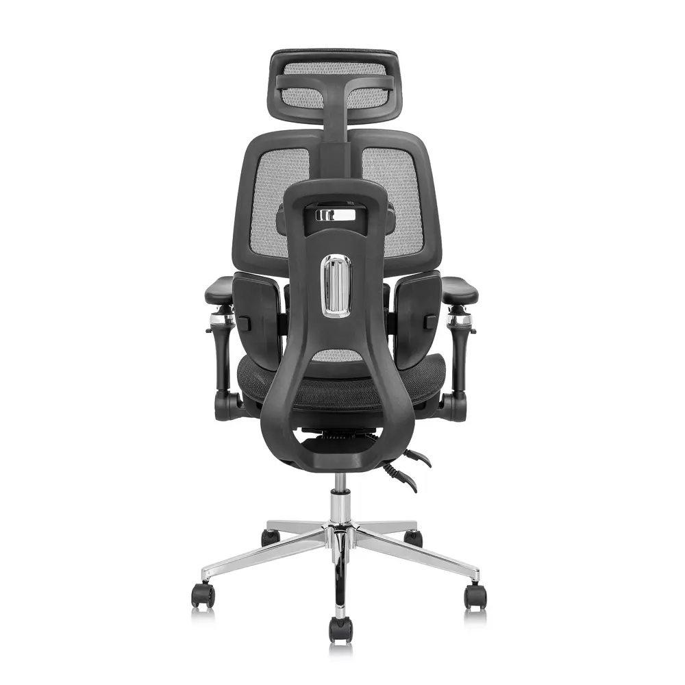 Ghế công thái học Leaf Flow Chair (Black - Mới, Full box, Chính hãng)
