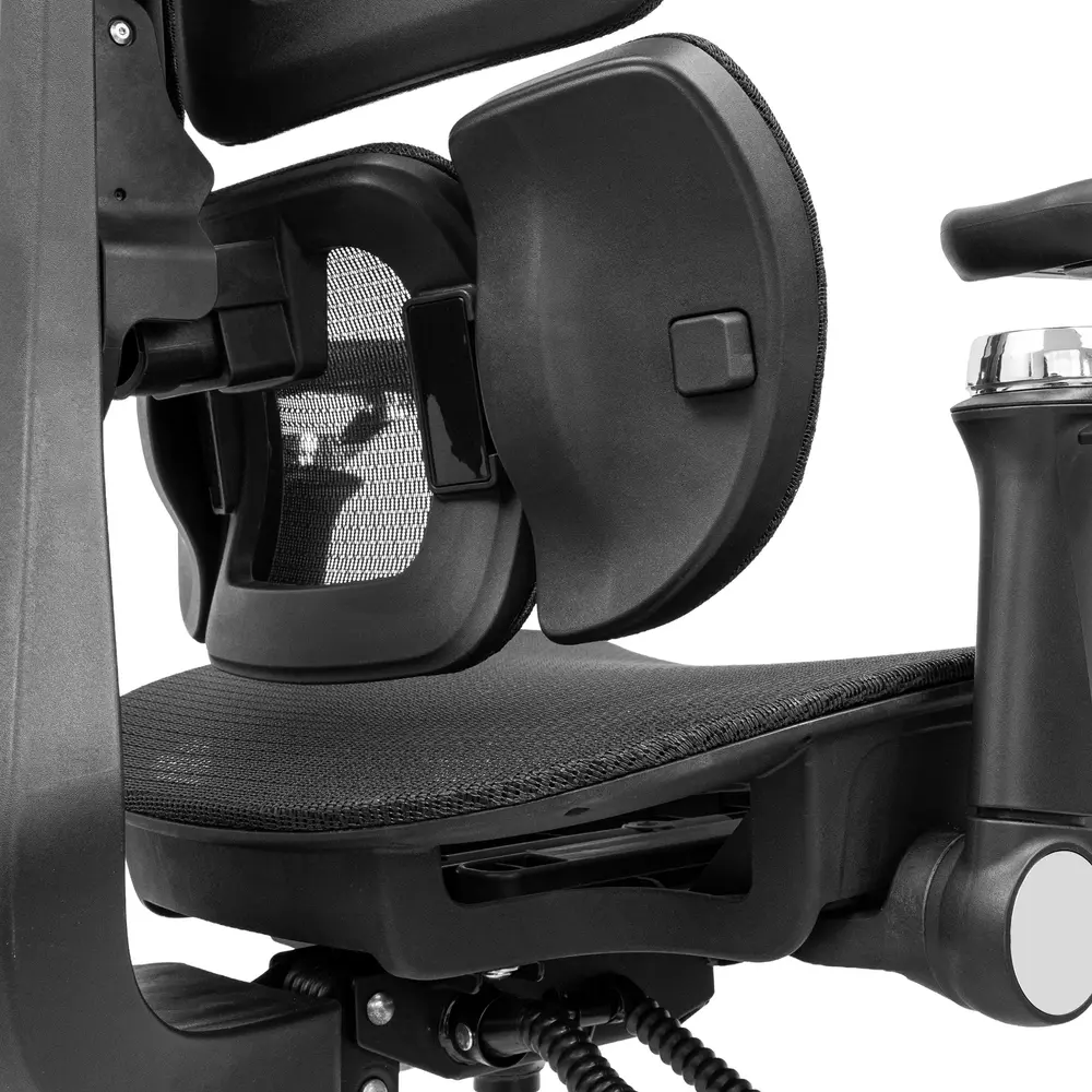 Ghế công thái học Leaf Flow Chair (Black - Mới, Full box, Chính hãng)