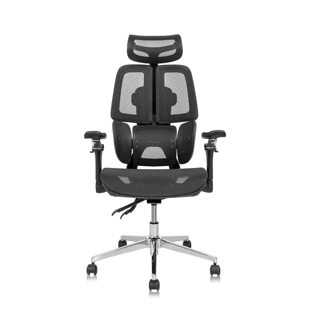 Ghế công thái học Leaf Flow Chair (Black - Mới, Full box, Chính hãng)