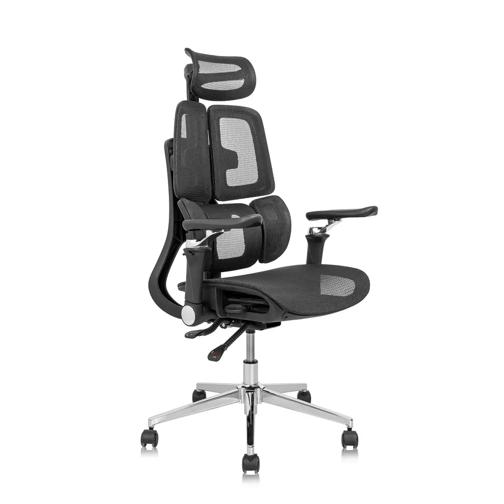 Ghế công thái học Leaf Flow Chair (Black - Mới, Full box, Chính hãng)
