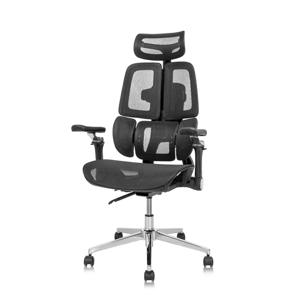 Ghế công thái học Leaf Flow Chair (Black - Mới, Full box, Chính hãng)