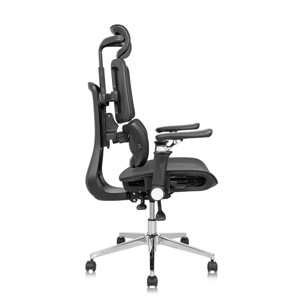 Ghế công thái học Leaf Flow Chair (Black - Mới, Full box, Chính hãng)